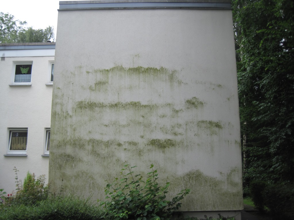 čistenie fasád